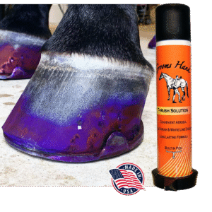 GROOMS HAND THRUSH SPRAY SOLUTION